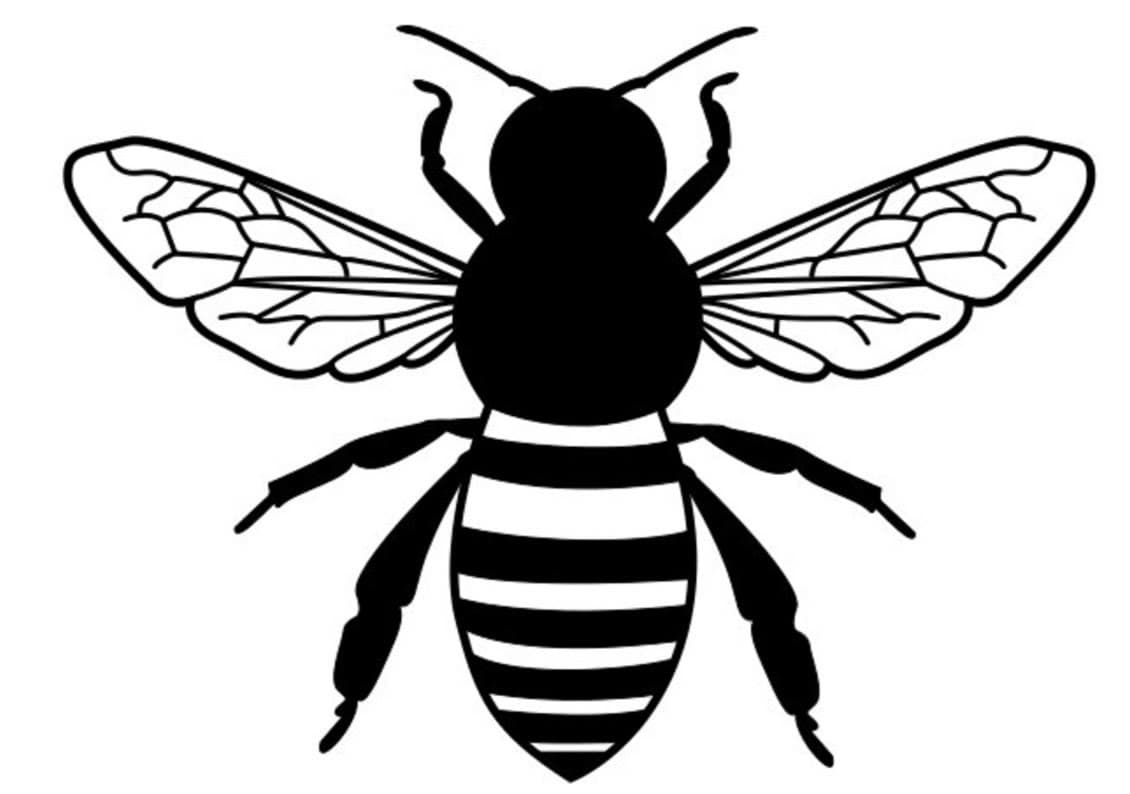 The bumble bee line drawing used as the plan