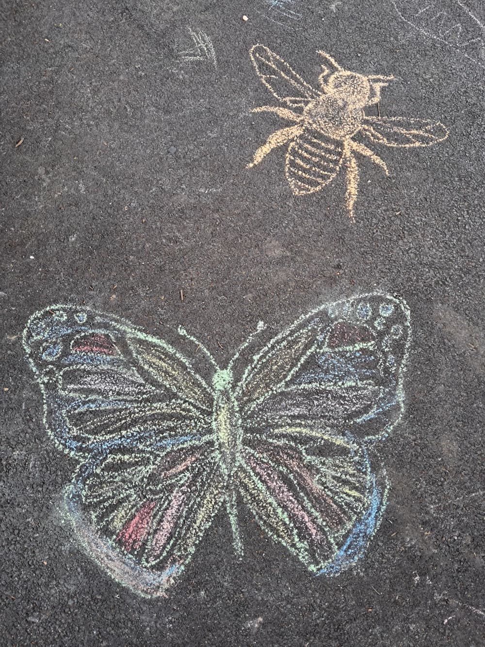 Chalk butterfly and bee drawn on asphalt with Plancast