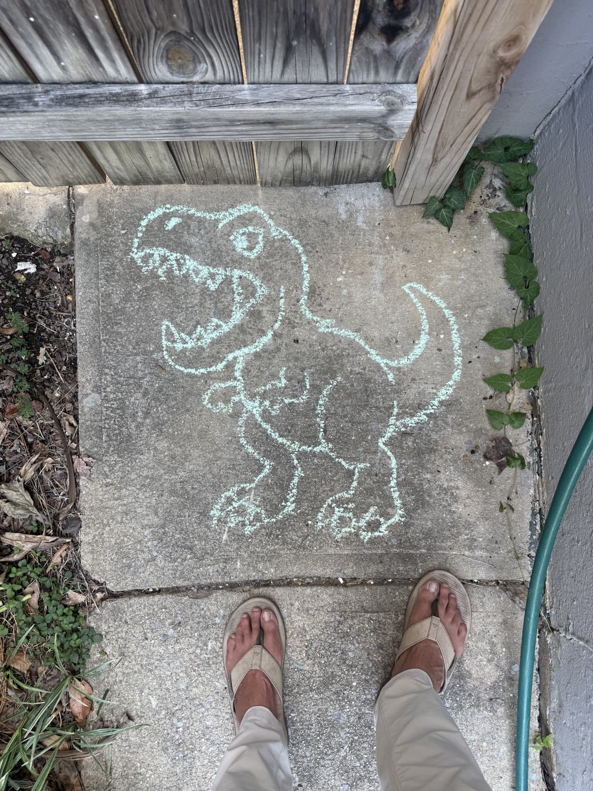 Finished chalk T-rex on the patio, traced from the AR overlay